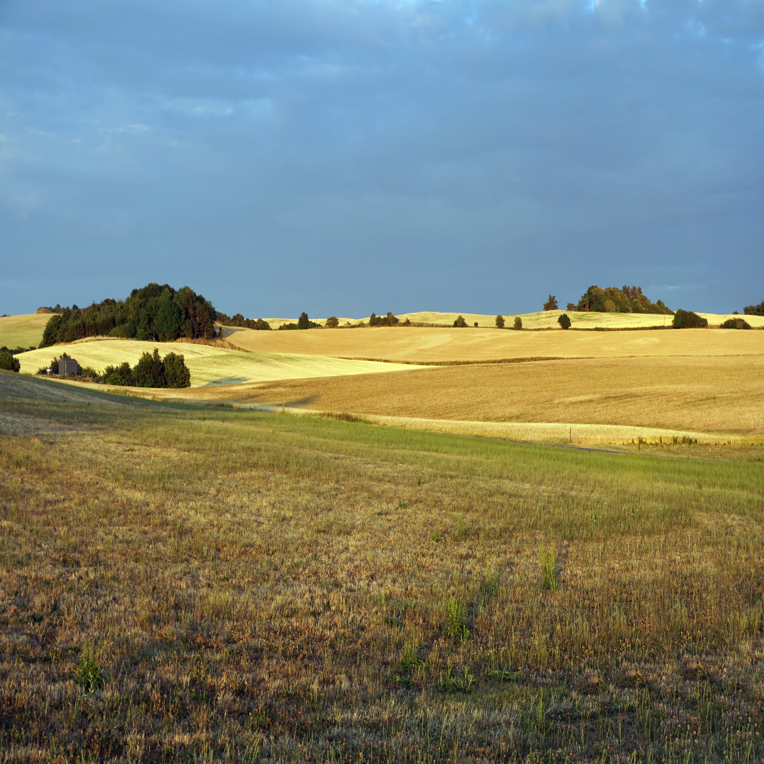 2018-07-11 21-33-58 - revASommerhus